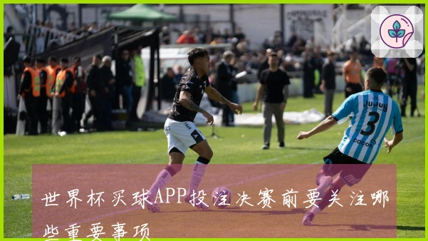 世界杯买球APP投注决赛前要关注哪些重要事项