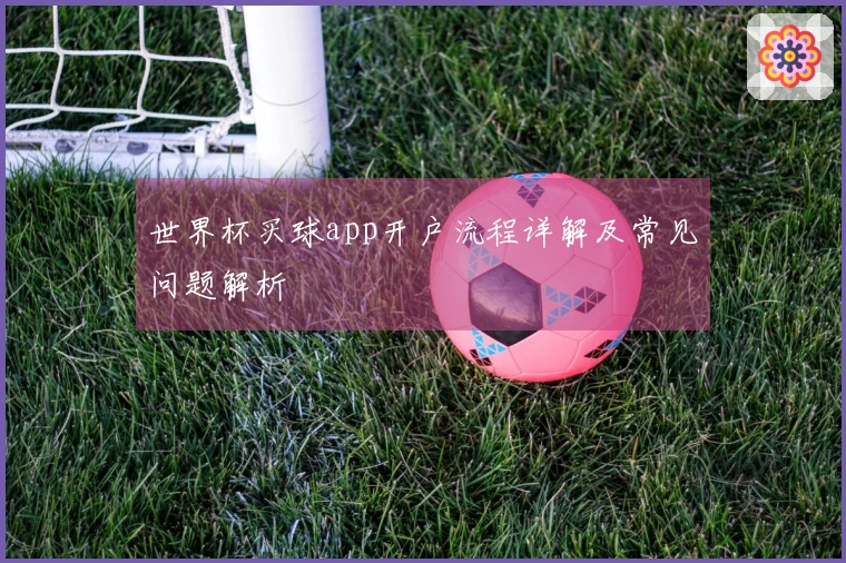 世界杯买球app开户流程详解及常见问题解析
