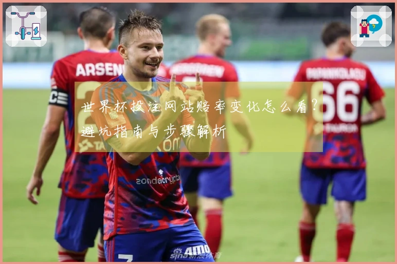 世界杯投注网站赔率变化怎么看？避坑指南与步骤解析