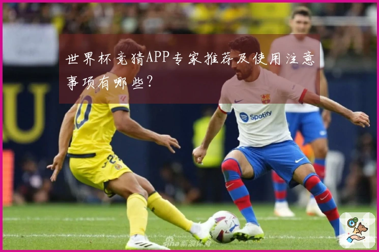 世界杯竞猜APP专家推荐及使用注意事项有哪些？