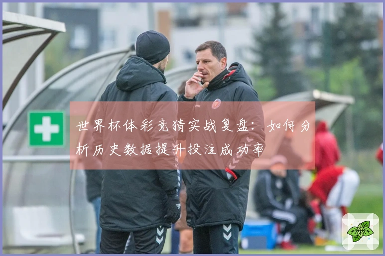 世界杯体彩竞猜实战复盘：如何分析历史数据提升投注成功率